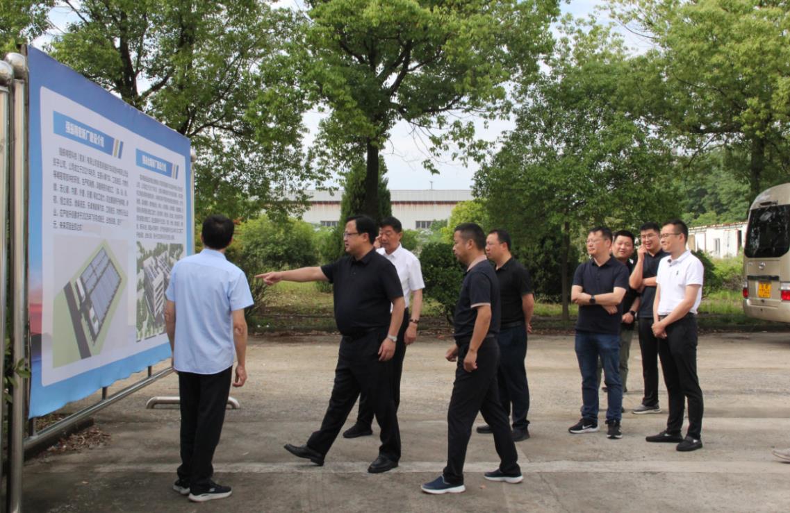 芜湖市湾沚区领导一行莅临强振考察调研
